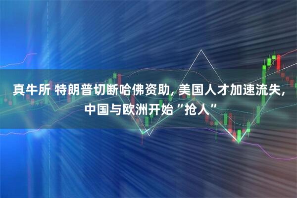 真牛所 特朗普切断哈佛资助, 美国人才加速流失, 中国与欧洲开始“抢人”