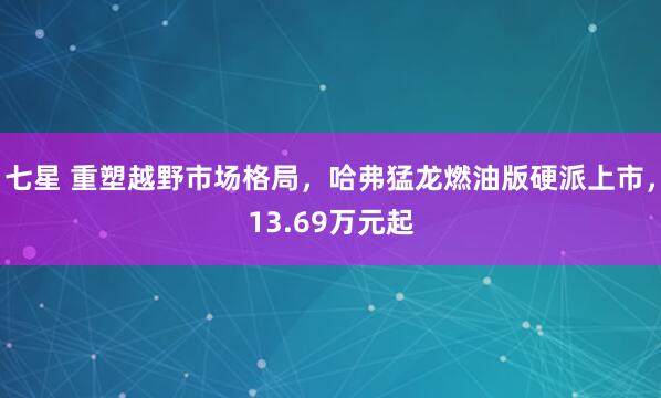 七星 重塑越野市场格局，哈弗猛龙燃油版硬派上市，13.69万元起