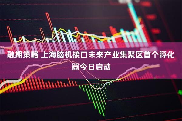 融期策略 上海脑机接口未来产业集聚区首个孵化器今日启动