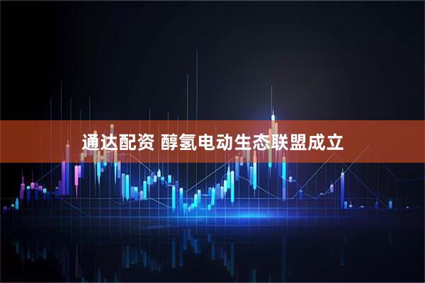 通达配资 醇氢电动生态联盟成立