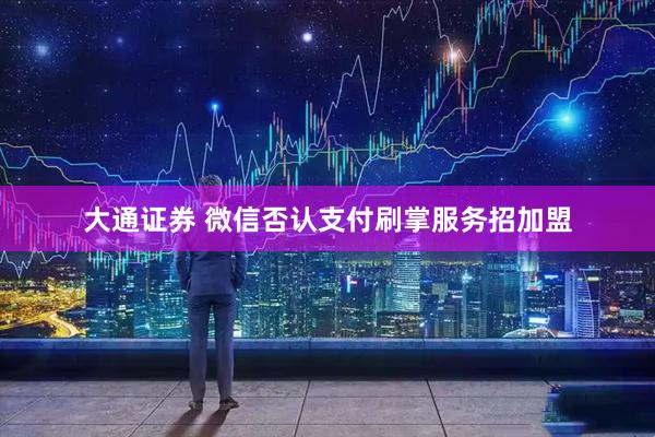 大通证券 微信否认支付刷掌服务招加盟