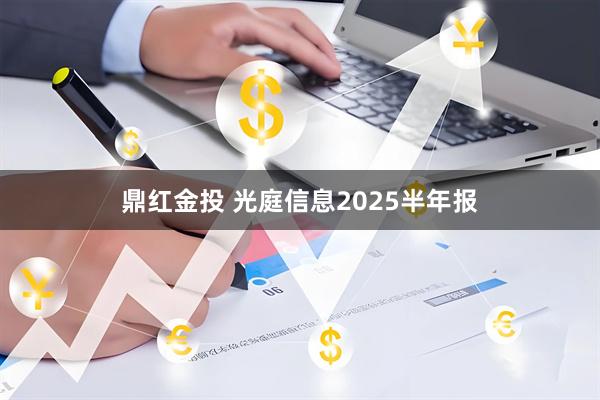 鼎红金投 光庭信息2025半年报