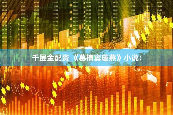 千层金配资 《慕楠窦瑾燕》小说：