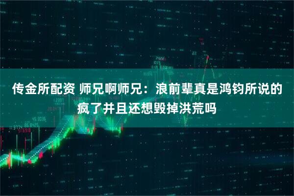 传金所配资 师兄啊师兄：浪前辈真是鸿钧所说的疯了并且还想毁掉洪荒吗