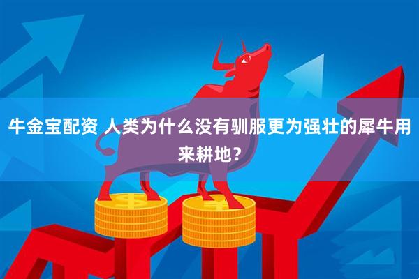 牛金宝配资 人类为什么没有驯服更为强壮的犀牛用来耕地？