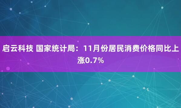 启云科技 国家统计局:11月份居民消费价格同比上涨0.7%
