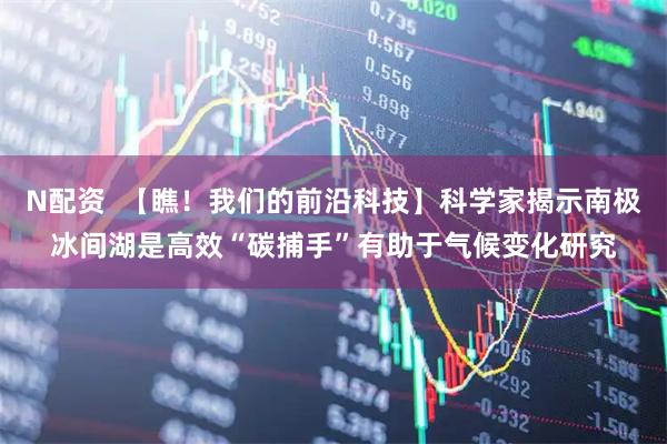 N配资 【瞧!我们的前沿科技】科学家揭示南极冰间湖是高效“碳捕手”有助于气候变化研究