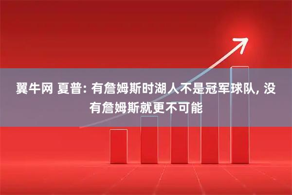 翼牛网 夏普: 有詹姆斯时湖人不是冠军球队, 没有詹姆斯就更不可能